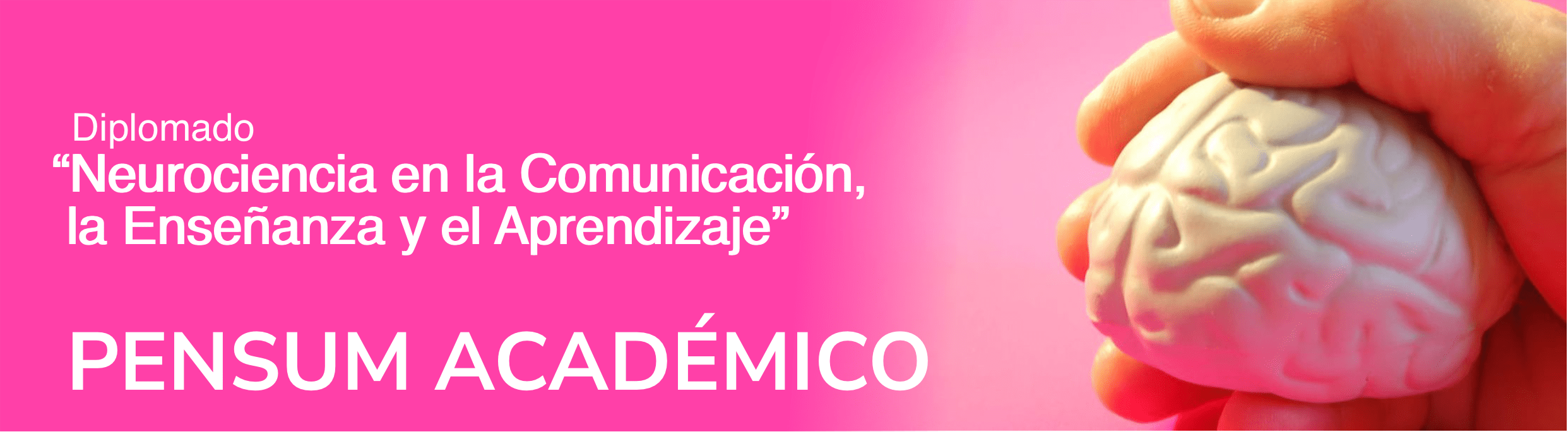 Pensum del Diplomado de Neuroeducación — Instituto Mendezz
